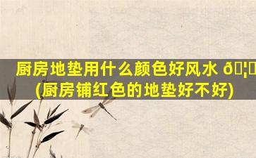 厨房地垫用什么颜色好风水 🦆 (厨房铺红色的地垫好不好)